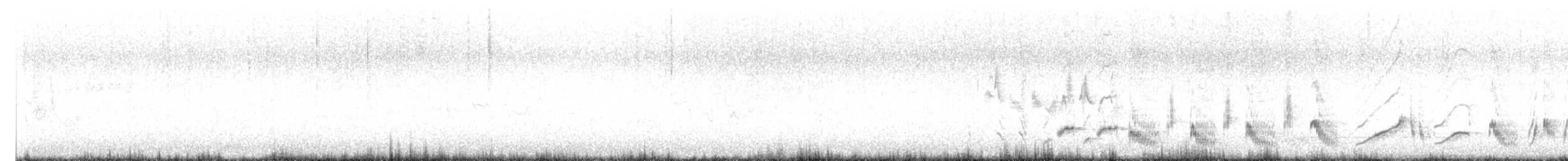 Eastern Orphean Warbler - ML619119480