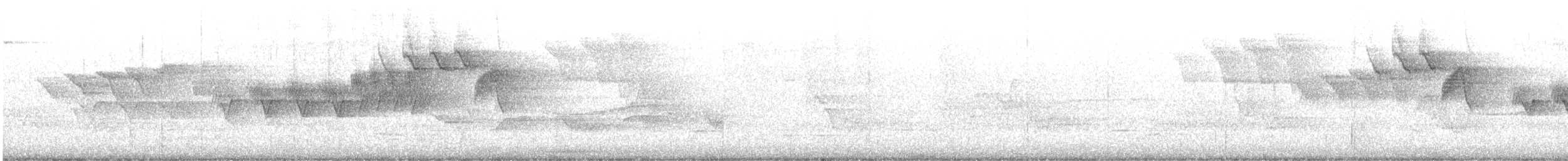 Cerulean Warbler - ML619124332