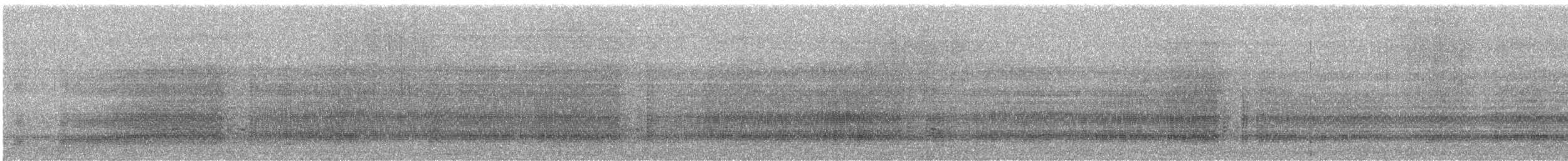kakadu přílbový - ML619124502