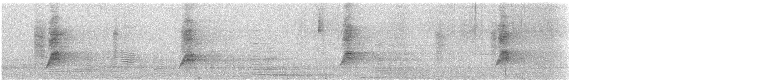 Seidenlaubenvogel - ML619124514