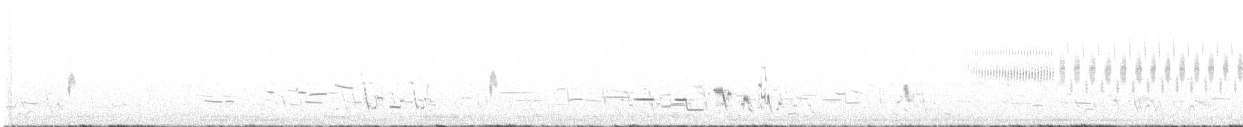 Chihuahuan Meadowlark - ML619124581
