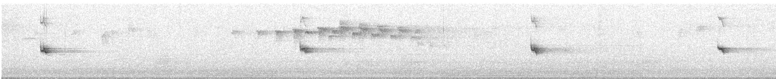 ノドジロキノボリ（leucophaea グループ） - ML619124667