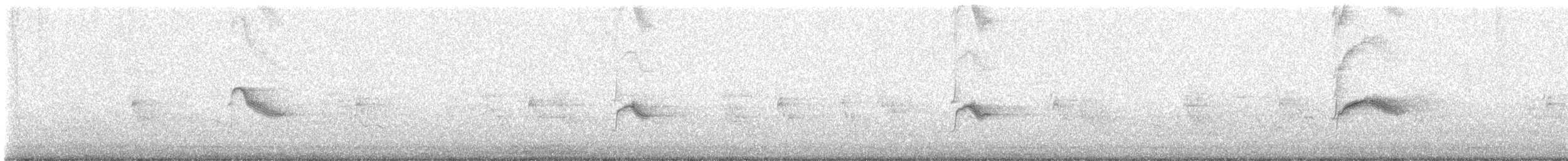 Gri/Bicknell Bülbül Ardıcı - ML619125731
