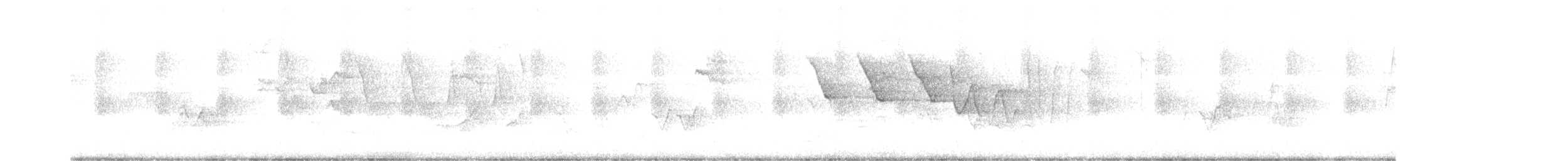 Смугастоволець білобровий - ML619125963