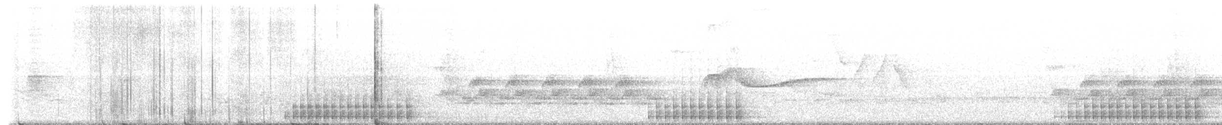セジロコゲラ（pubescens／medianus） - ML619126411