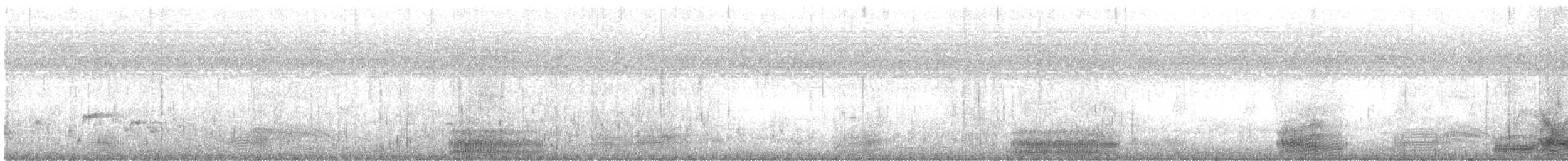 Western Reef-Heron - ML619126592