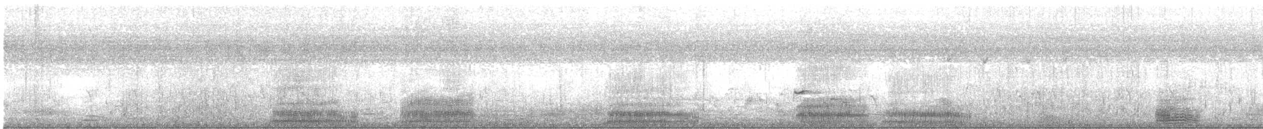 Aigrette à gorge blanche - ML619126593