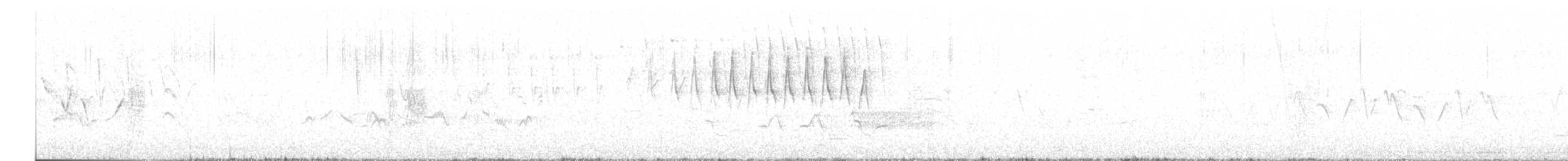 Wilson's Warbler - ML619126831