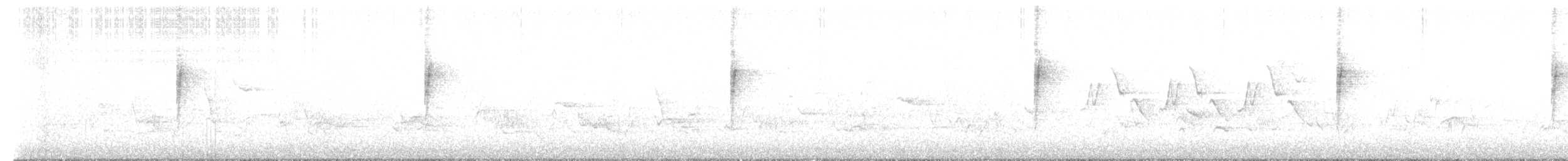 svartbrystparula - ML619127390