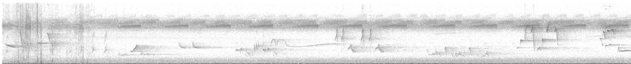 Hellbauch-Schnäppertyrann - ML619127430