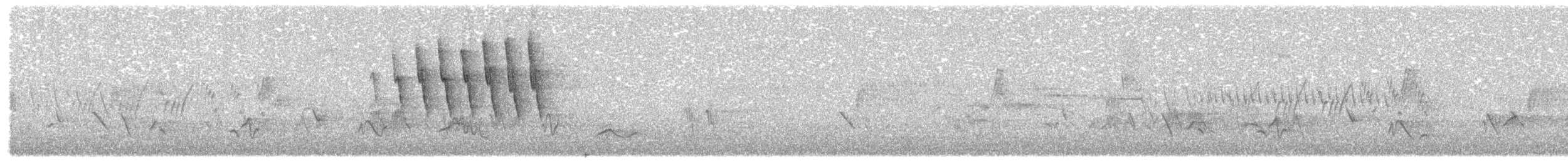 Малая вильсония - ML619127695