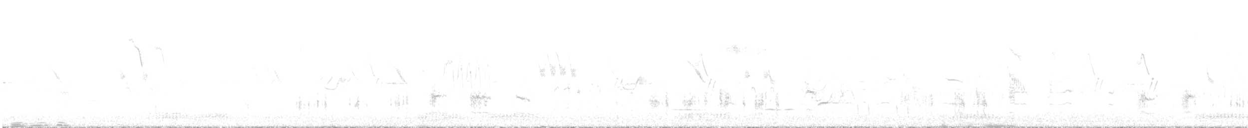 Great Reed Warbler - ML619127903