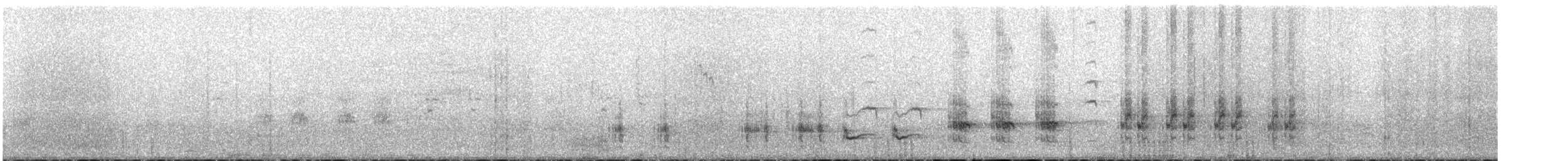 Great Reed Warbler - ML619128548