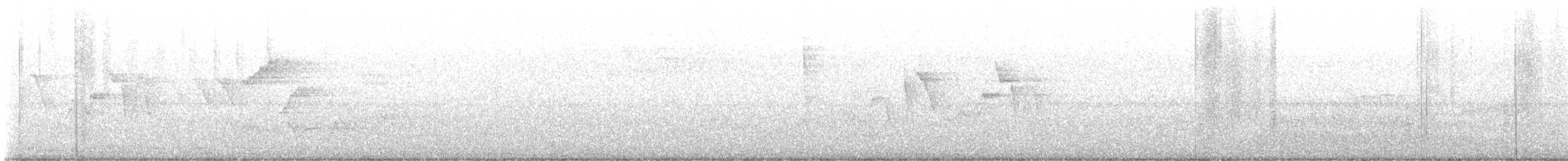 סבכון קנדי - ML619130212