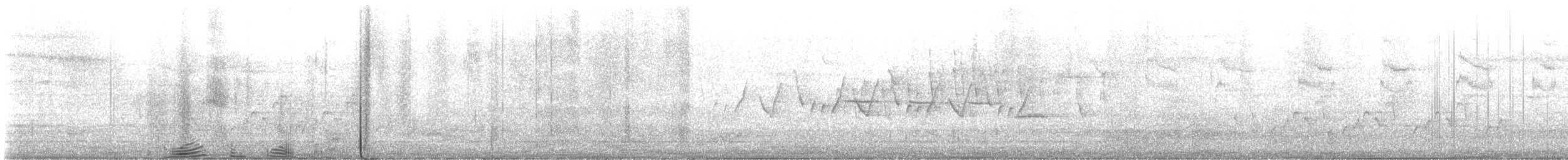 Малая вильсония - ML619130255