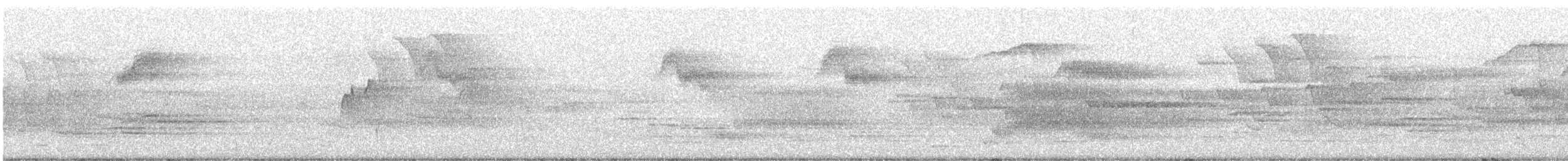 Acadian Flycatcher - ML619130625