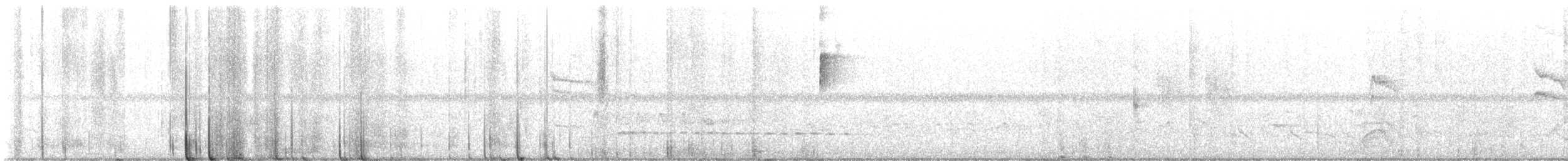 Калифорнийская кукушка-подорожник - ML619131730