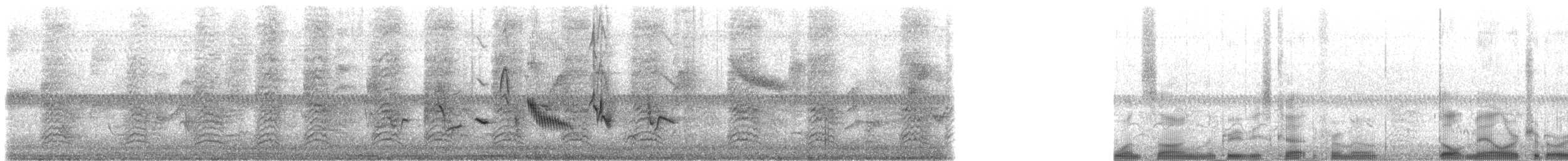 Oriole des vergers - ML61913241