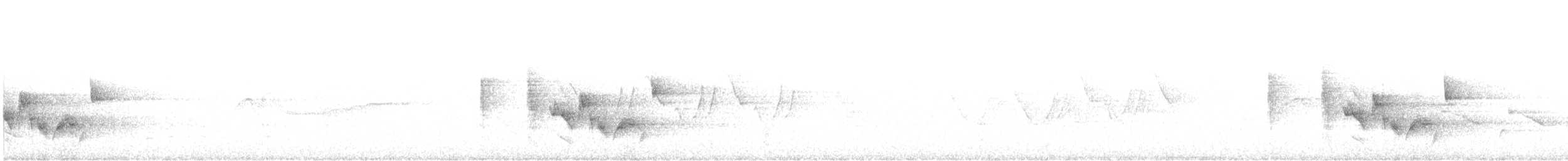 White-eyed Vireo - ML619132566
