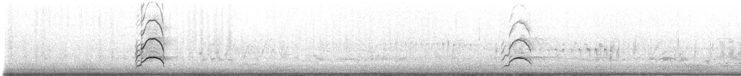 Braunmantel-Austernfischer - ML61913261