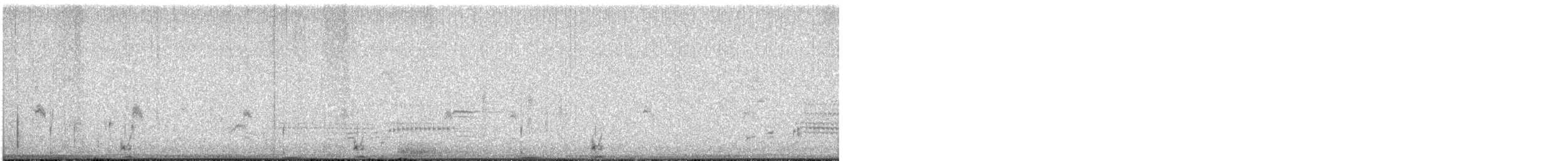 Txori zezen amerikarra - ML619135539