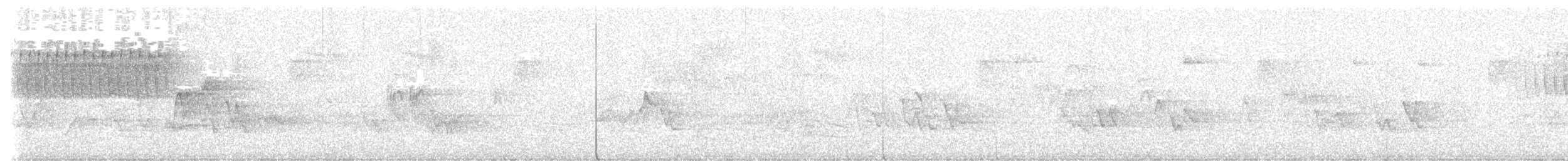 Paruline vermivore - ML619135610