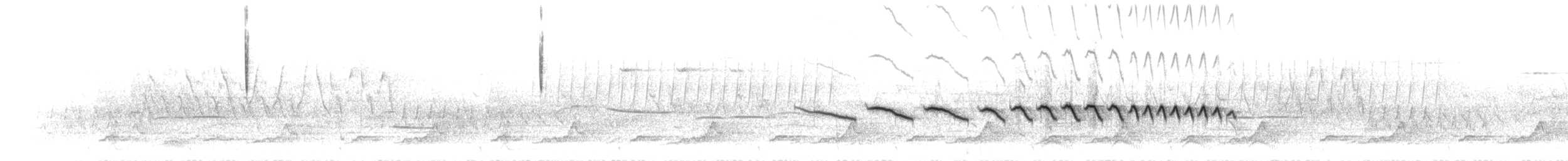Карнатка польова - ML619136121