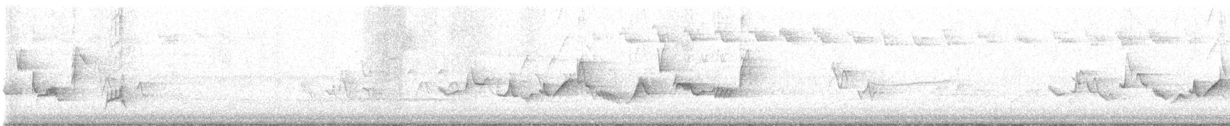 Eastern Warbling Vireo - ML619136124