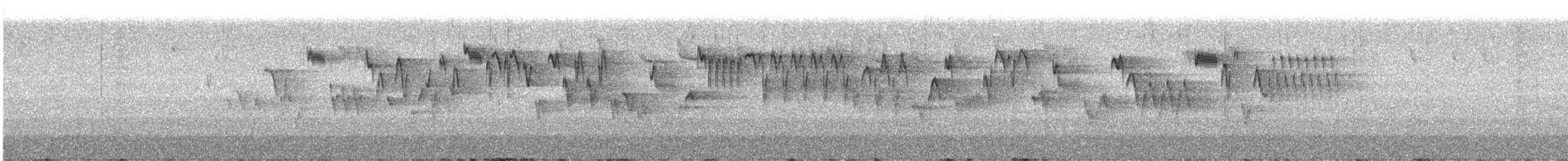 Troglodyte de Baird - ML619137075