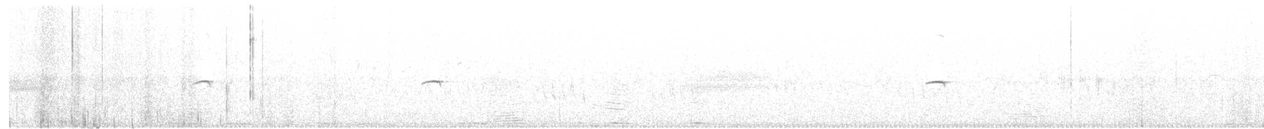חטפית שחורת-עורף x חטפית לבנת-עורף (בן כלאיים) - ML619137607