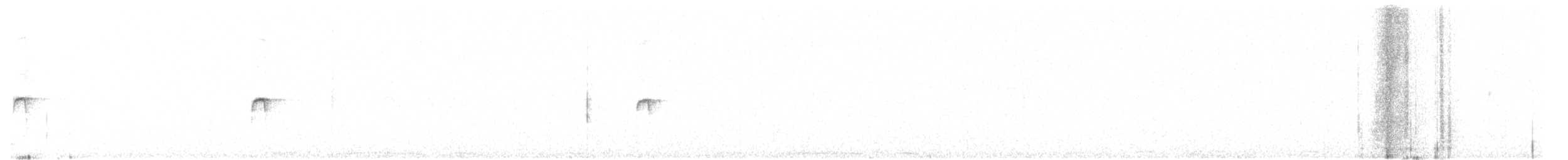 חטפית שחורת-עורף x חטפית לבנת-עורף (בן כלאיים) - ML619137608