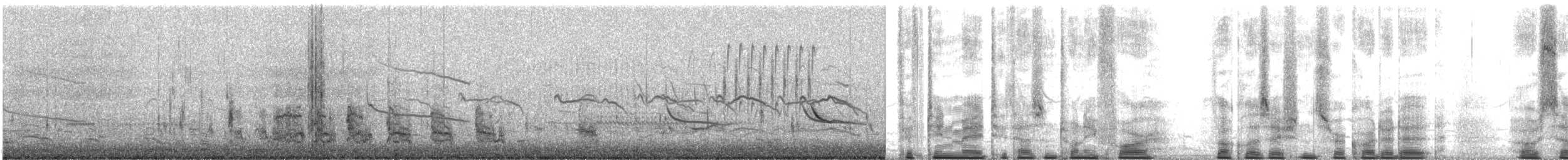 Stilt Sandpiper - ML619138466