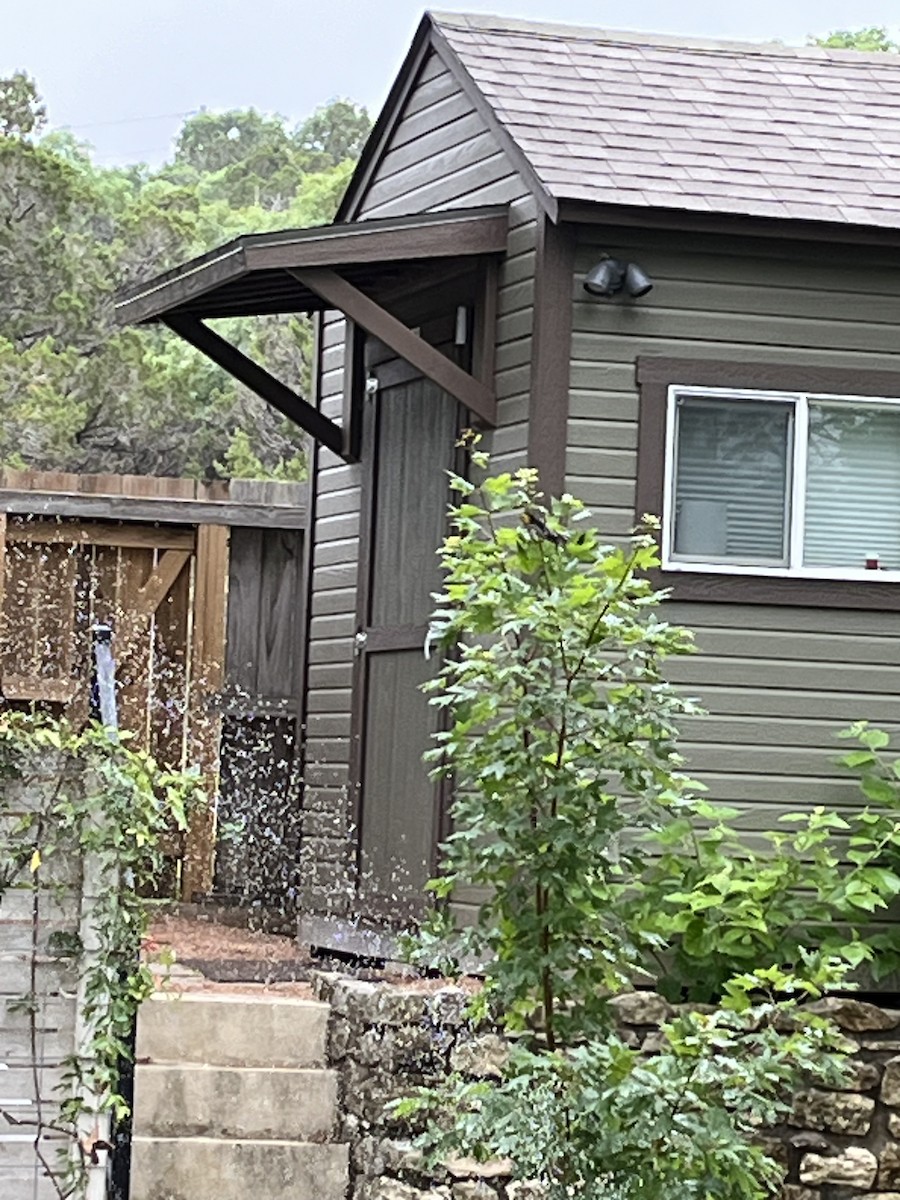 Golden-cheeked Warbler - ML619138941