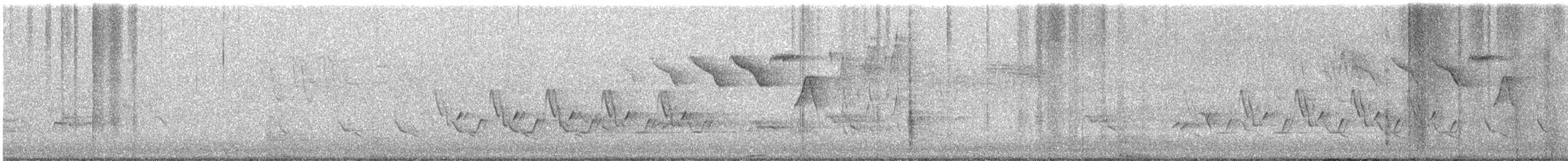 Каролинский крапивник - ML619138949