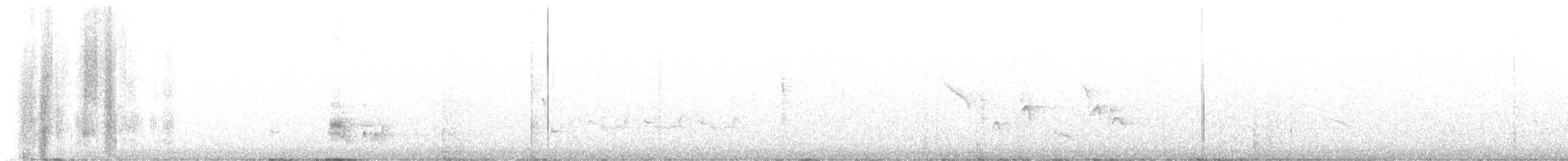 brunstenktyrann - ML619139263