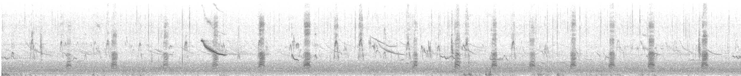 Marzaiola americana - ML619139668