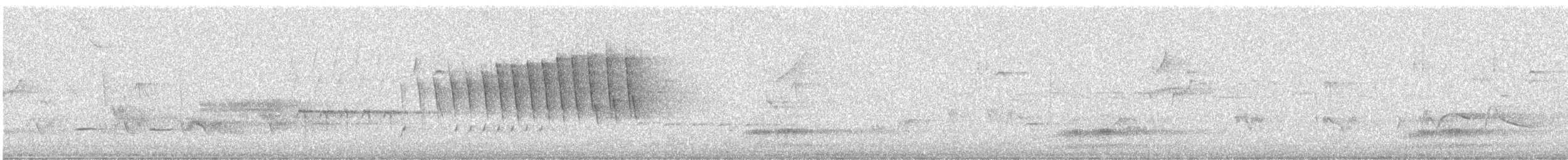 Малая вильсония - ML619140185