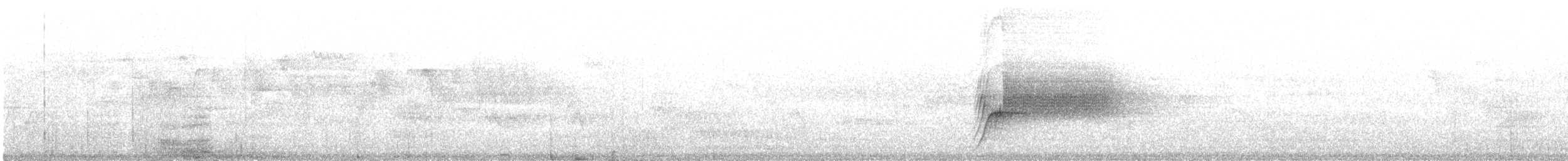 Тауї плямистий - ML619140371