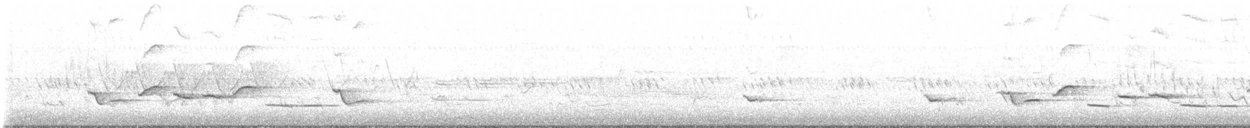 trupiál baltimorský - ML619141307