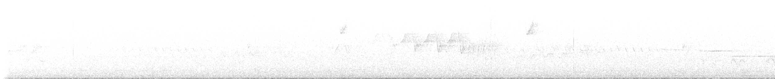 ズアカアメリカムシクイ - ML619146886