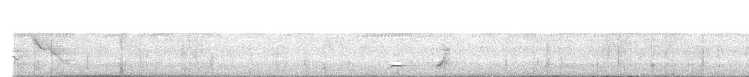 nordkrattvaktel (virginianus gr.) - ML619147625