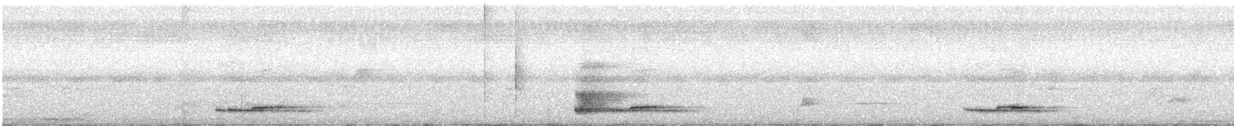 Long-tailed Manakin - ML619147704