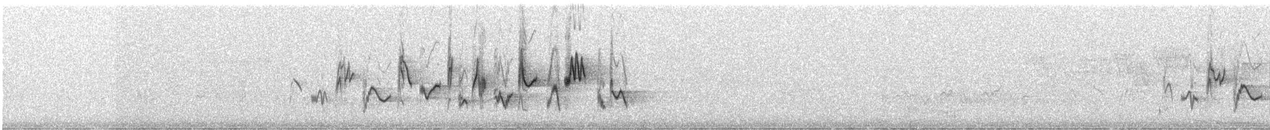 Western Warbling Vireo - ML619150489