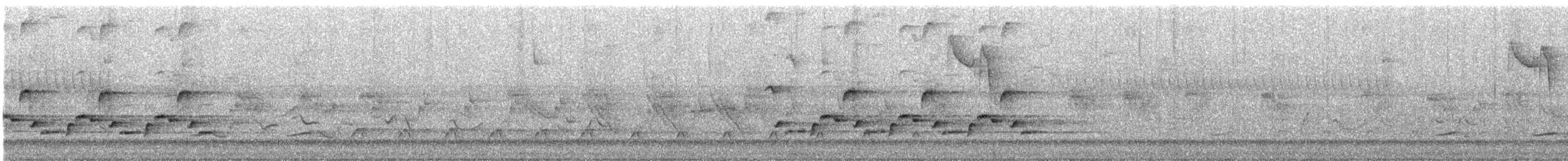Поплітник каролінський - ML619150571