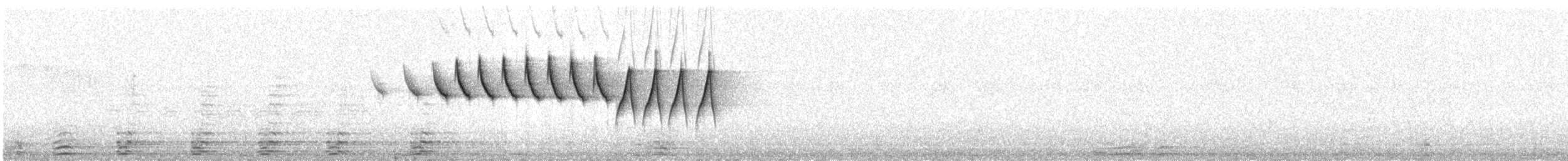 Nashville Warbler - ML619151027