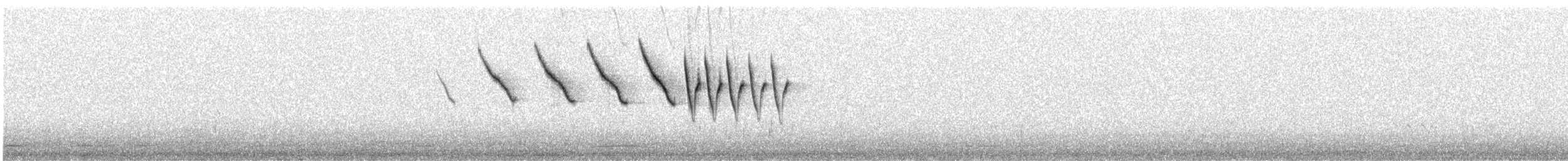 Nashville Warbler - ML619151460