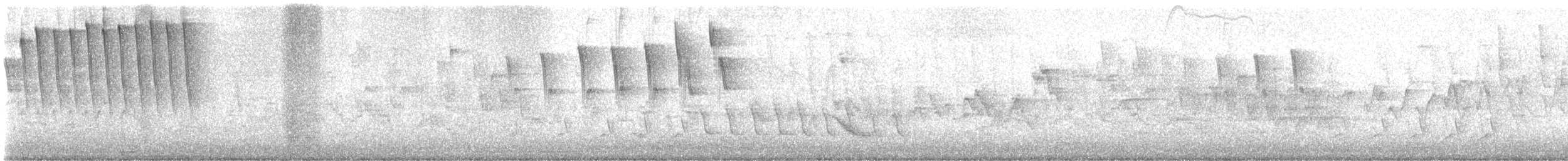 Troglodyte de Caroline - ML619151476