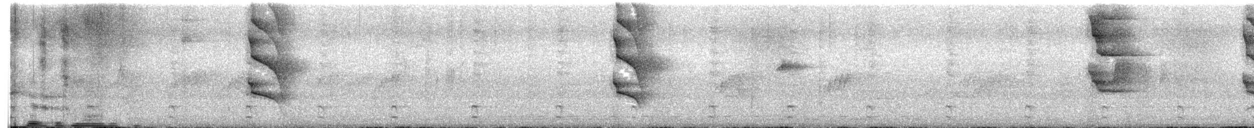 Perlkappen-Baumsteiger - ML619152110