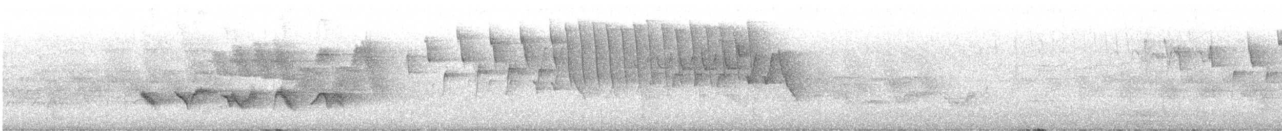 Piranga écarlate - ML619152824