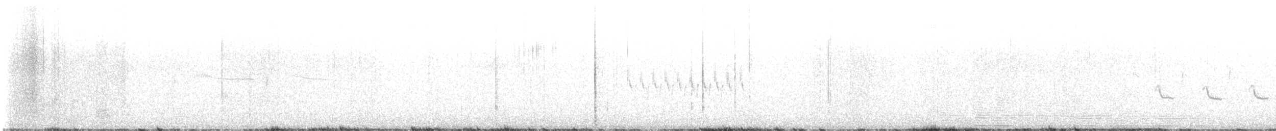 Широкохвостый колибри - ML619154954